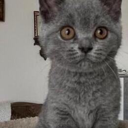 Fred