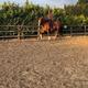 Rebekah