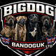 bigdogbandoguk