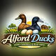 Alford Ducks