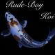 Koiboy20