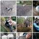 caroline_searle