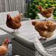 Southmead Poultry