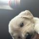 annalois405