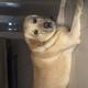 Sana