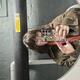 lowri.rowlands98