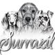 Surrazil