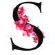 shannon_bessent96