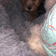 Abby