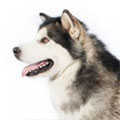 Huskamute