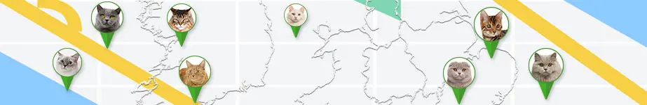 search ads on map
