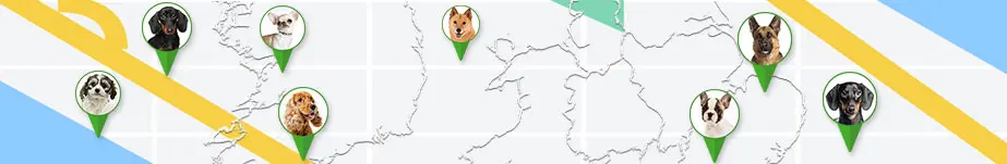 search ads on map