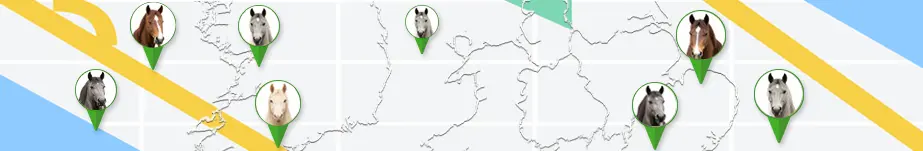 search ads on map