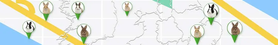 search ads on map