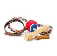 Pet Food & Accessories
